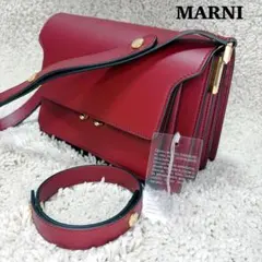 極美品✨MARNI トランク ミディアム M ショルダーバッグ カーフスキン 赤のサムネイル