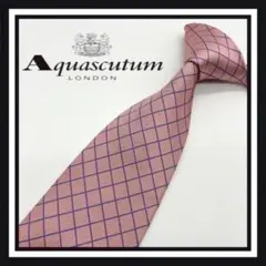 【高級ブランド】Aquascutum アクアスキュータム ネクタイ ⑤