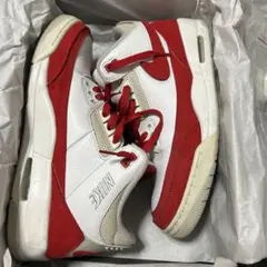 Air Jordan 3 Tinker /ティンカー（備品全て付属）
