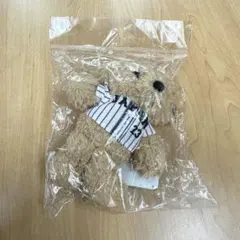 Item thumbnail for item b296c2a7-764d-451b-8319-3f3374594e44