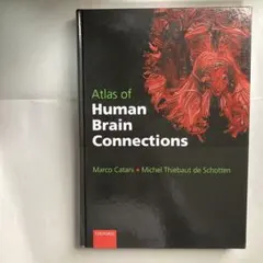2026年最新】The Brain Atlas:の人気アイテム - メルカリ