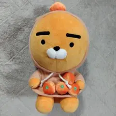 カカオフレンズ　ライアン ぬいぐるみ 韓国 　済州島　限定