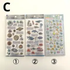 【正規品】C 3D大人の図鑑シール ジュエルプチドロップ 海洋生物 天体