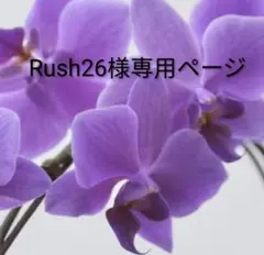 ✿Rush26様専用ページ　〜TAWAMI〜