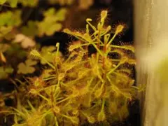 うってい様 リクエスト 2点 まとめ商品