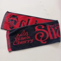 Acid Black Cherry ARENA tour マフラータオル
