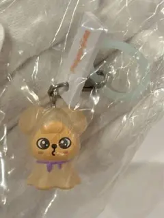 Straykids 　SKZOO　めじるしアクセサリー《РuрруМ》