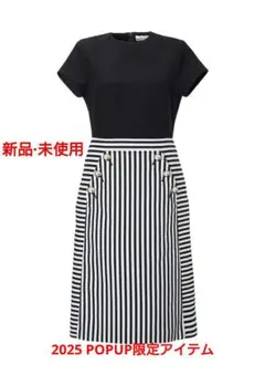 20%OFF】BORDERS at BALCONY TUCK DRESS - メルカリ