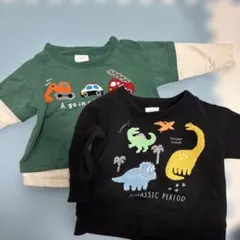 恐竜と車の刺繍トレーナー2点セット