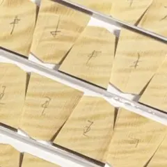 Item thumbnail for item 2ef285a5-91c2-44bb-ae77-d6193015c7ce