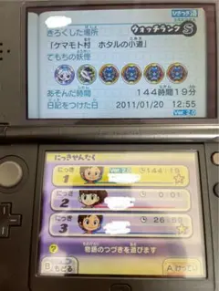 【動作確認済・データ有】3DS 妖怪ウォッチ2 本家　ソフト