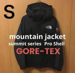 ノースフェイスマウンテンパーカー GORE-TEXsummit Proshell