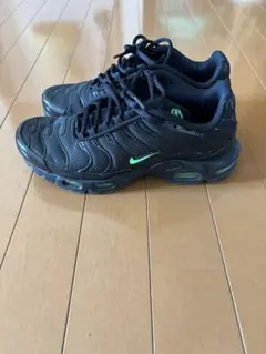 Nike Air Max Plus ブラック/グリーン