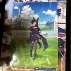 ウマ娘 美浦村 コラボ限定クリアファイル ライスシャワー冊子セット