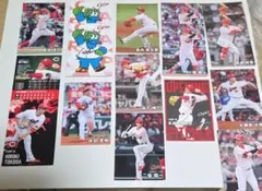 広島東洋カープ トレーディングカードセット