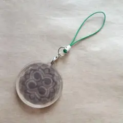 アイヌ　アクリルストラップ