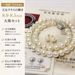 アコヤ真珠 ネックレス 9.0-9.5mm 大丸松坂屋さまで購入 、鑑定書付き 
