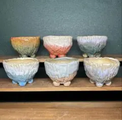 010701 6個セット　多肉植物　鉢　ミニ鉢　陶器植木鉢　盆栽鉢　豆鉢