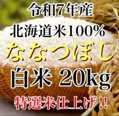 令和7年度産北海道米100%ななつぼし白米20kg 精米 つきたて発送 