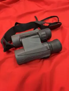 Item thumbnail for item 64079d1e-44d1-4838-b8d0-2185777943b0