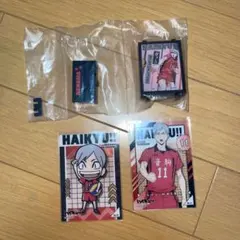 ハイキュー 灰羽リエーフ