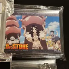 Dr.STONE コハク スイカ ルリ CoLotta アニメイトカフェ 夏 Dr.STONE アニメイトカフェ アニカフェ コロッタ コハク スイカ ルリ