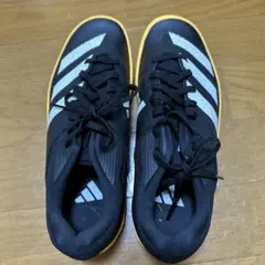 Item thumbnail for item 551a4687-149c-409e-9213-82ec0a35b5de