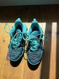 NIKE ヤニス イモータリティ バスケットシューズ　ブルー 22.5cm