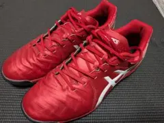 ASICS サッカー トレーニングシューズ DS Light TF