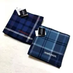 Item thumbnail for item 16a060cd-4f6a-4734-a157-52677e33676f