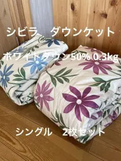 丸洗い可【シビラ】タオルケット140×190 モリノ2枚セット - メルカリ