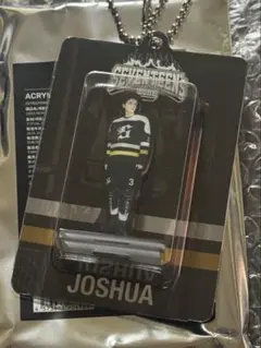 SEVENTEEN セブチ HOME アクリルキーリング ジョシュア