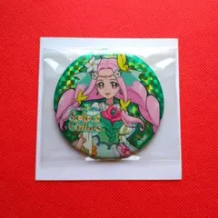 ❣️早い者勝ち❣️ プリキュアオールスターズ ホログラム缶バッジ