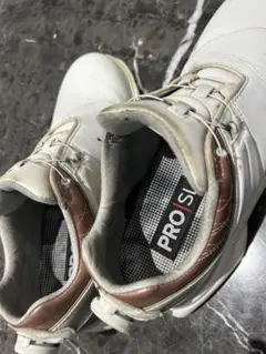 Item thumbnail for item ac31ff7e-0580-4fe4-8ba4-6fed57c5d0ca