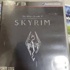 ザ・エルダー・スクロール5:スカイリム