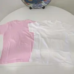 Item thumbnail for item 336d7bdd-6358-495c-8a74-009220c7ee9d