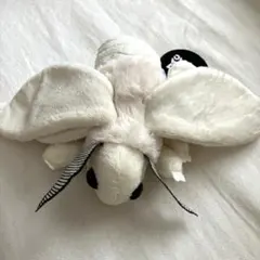 【限定】♾️特別展「昆虫MANIAC」会場限定ぬいぐるみ(蚕蛾(カイコ)モス) 限定】♾️特別展「昆虫MANIAC」会場限定ぬいぐるみ(蚕蛾(カイコ)モス
