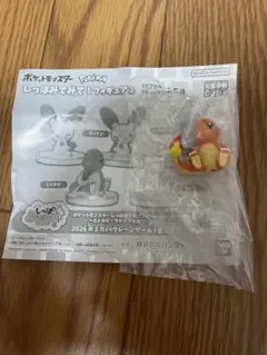 ポケットモンスター ヒトカゲ 　しっぽみてみてフィギュア2
