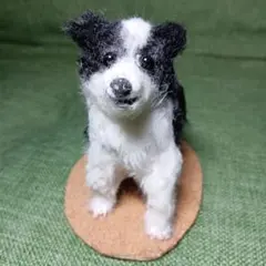 羊毛フェルト使用　ボーダー・コリー