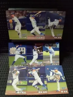 プロ野球チップスカード ドラゴンズ セット