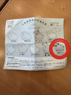 うちの子のけだまだま ペテモ限定 ミックス ストラップ付き