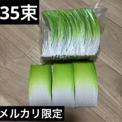 Item thumbnail for item 10e8755f-2bee-4abe-af39-3f34717c77d6