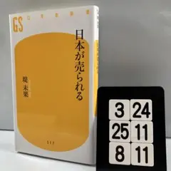 日本が売られる 3-24*25.8*11