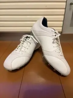 Item thumbnail for item b414343e-5fed-4071-b417-345be5be85e8