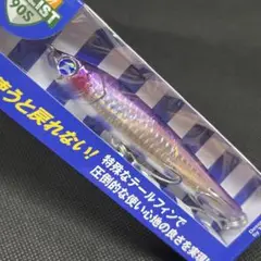 【激レア】ブローウィン110Sとガボッツ90 【応募券つき】セット 激レア】ブローウィン110Sとガボッツ90 【応募券つき】セット