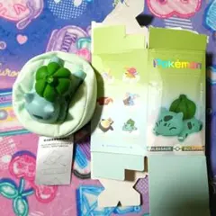 ポケモン フシギダネ おやすみフィギュア すやすや 中国限定