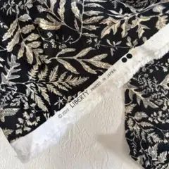 Item thumbnail for item 43fe5861-f8d3-4a20-83a3-b44ac397c05c