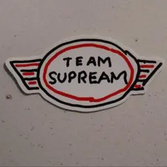 TEAM SUPREAM ロゴステッカー