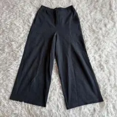 GIANNI LO GIUDICE レディース カジュアルパンツ S ストレッチ