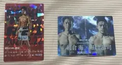 RIZIN ポテトスティック ポスターカードコレクション